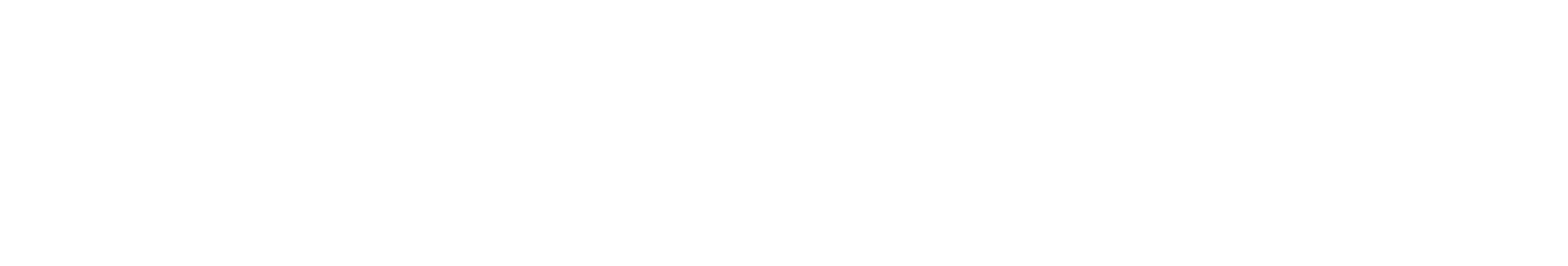 FRIS Fund for Early-CareerIndependent Researchers